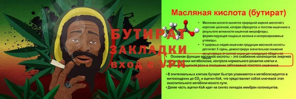 индика Новодвинск