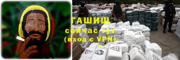 индика Новодвинск