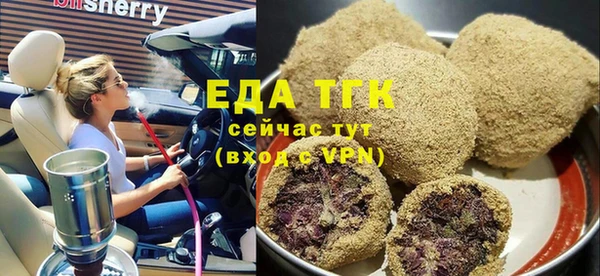 индика Новодвинск