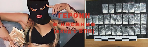 индика Новодвинск