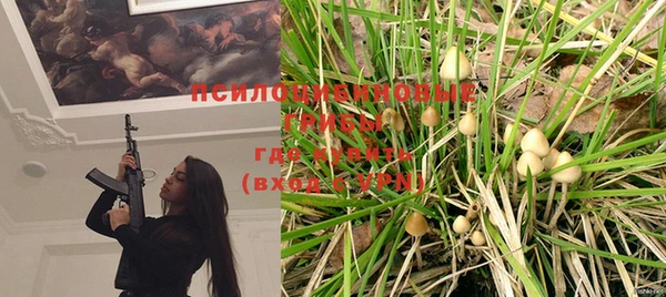 индика Новодвинск