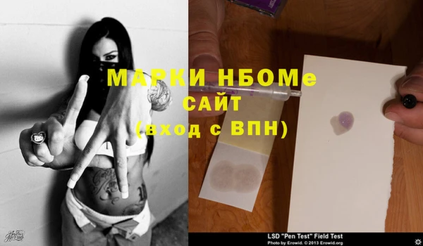 каннабис Новозыбков
