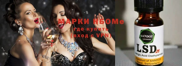 индика Новодвинск