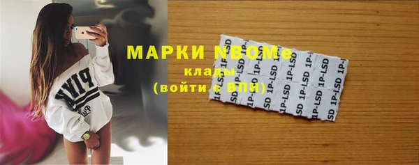 индика Новодвинск