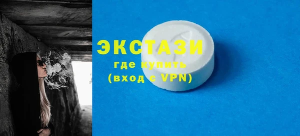 индика Новодвинск