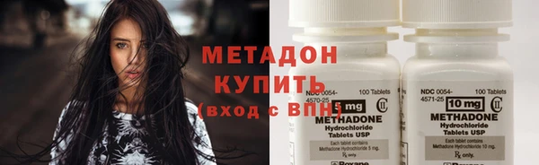 индика Новодвинск