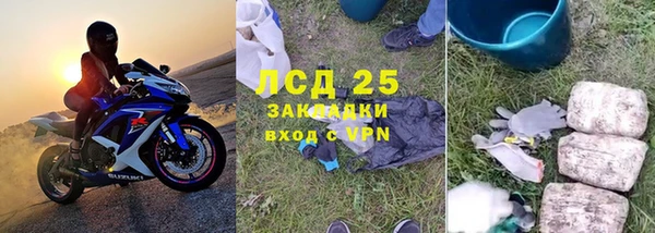 каннабис Новозыбков
