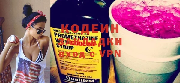 индика Новодвинск