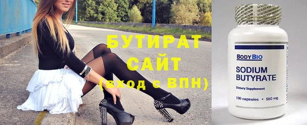индика Новодвинск