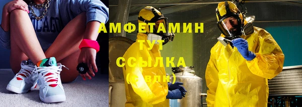 индика Новодвинск
