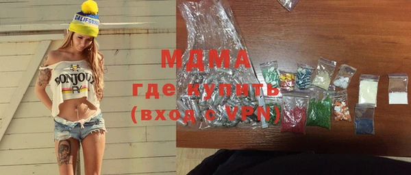 индика Новодвинск