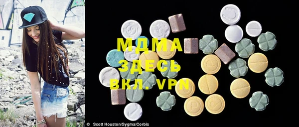 индика Новодвинск