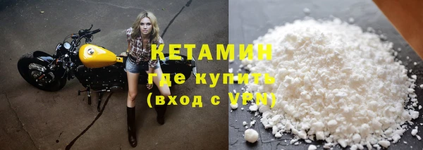 индика Новодвинск