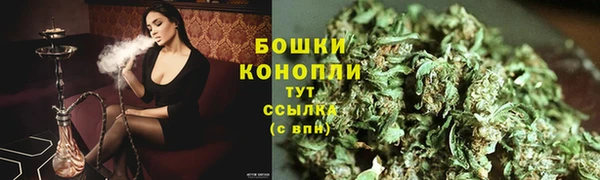 стафф Елизово