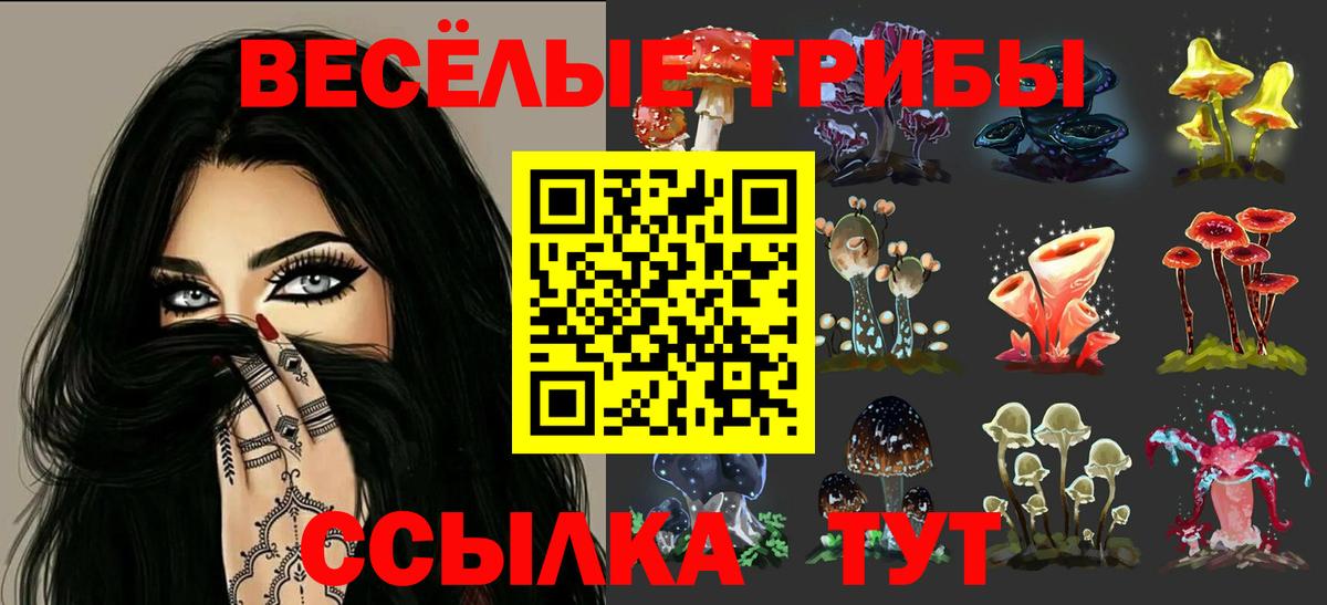 Псилоцибиновые грибы Psilocybine cubensis Советск