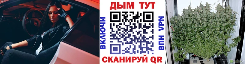 Бошки марихуана Amnesia  площадка какой сайт  Советск 
